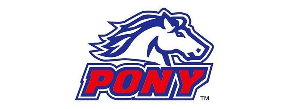 Pony League Age Determinations